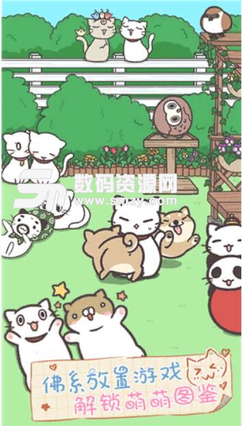 猫咪饲养日常中文版