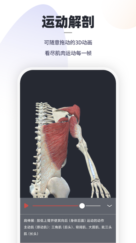 口袋解剖app2.2.0