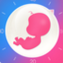 妈妈网孕育app(孕育知识大全) v6.5.0 安卓版