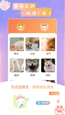 猫狗语翻译器1.2