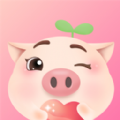 憨小猪app  1.2.1