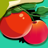 找番茄免费版(趣味娱乐) v1.3 手机版