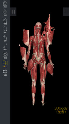 3DBody解剖免费版v8.3.72