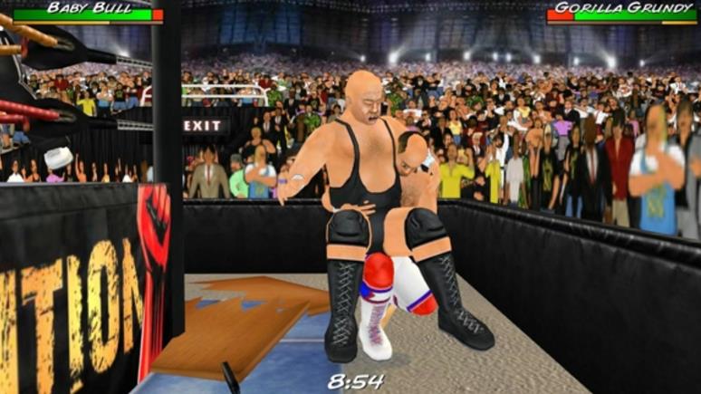 摔跤大赛3D手机正式版