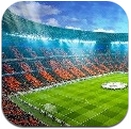 最终足球安卓版(手机足球游戏) v1.1 Android版