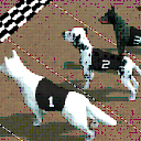 疯狂的狗比赛手游安卓版(狗狗竞速跑酷) v2.6.3 最新版