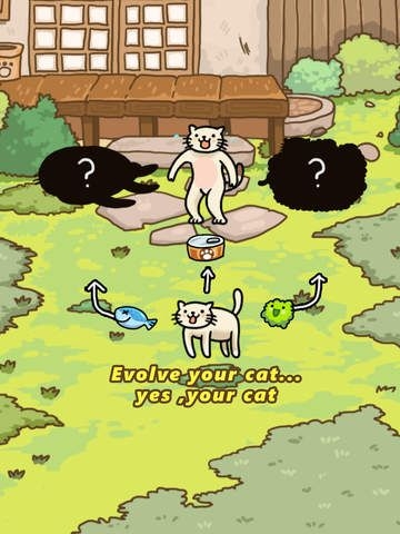 猫的进化世界v2.0.6