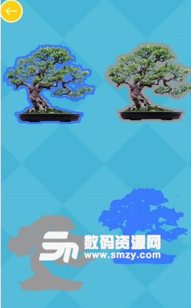 儿童认植物颜色安卓免费版