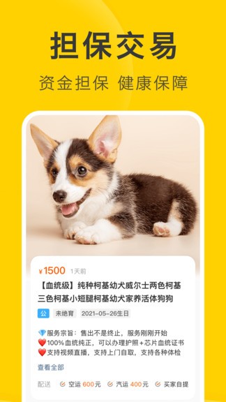 买只宠物手机版v3.7.5