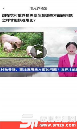 阳光养猪宝红包官方版