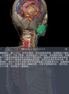3Dbody解剖iPhone版(看到人体结构) v7.11.0 苹果版