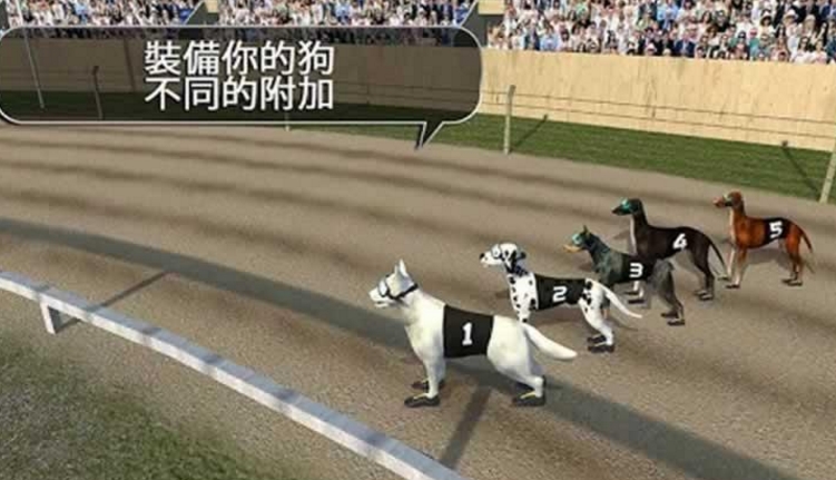 疯狂的赛狗Android版(Crazy Dog Racing) v2.2.6 官方版