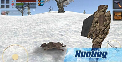 生存游戏冬季岛屿安卓版(Survival Winter Island) v1.1 android版