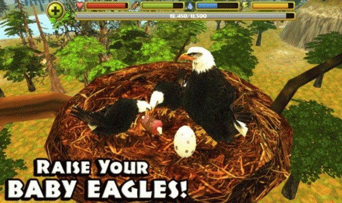 模拟老鹰安卓版(模拟动物游戏) v1.8 免费版