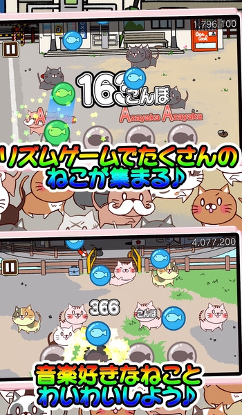 喵咪痴汉iOS版(休闲收集猫咪玩法) v1.1.12 免费版