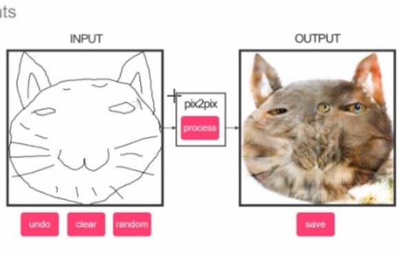 五毛猫变成一只拟真猫网页游戏