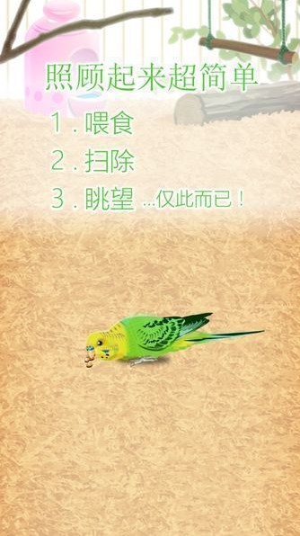 治愈的鹦鹉育成汉化版(治愈养成游戏) v1.3 安卓中文版