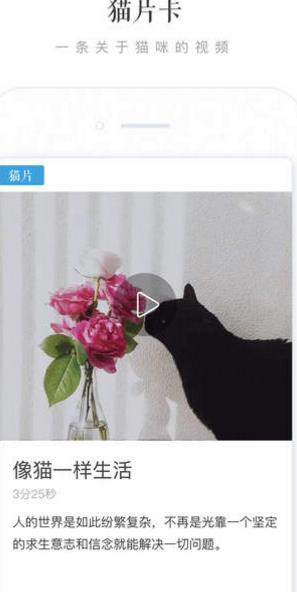 一日猫iphone版(文艺生活) v1.6.1 ios版
