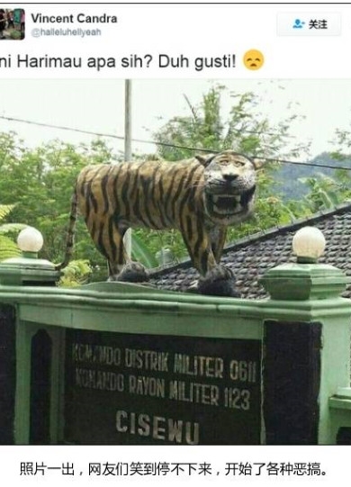 印尼笑面虎表情包
