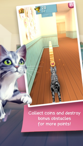 奔跑中的猫咪ios版(经典3D酷跑) v1.0 手机版