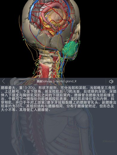 3dbody7.0电脑版内容