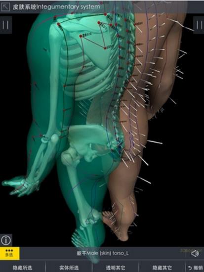 3dbody系统解剖电脑版界面