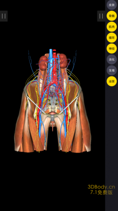 3Dbody手机版(人体解剖) v7.10.0 苹果官方版