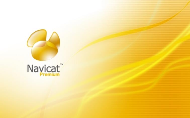 Navicat for SQL Server 11界面