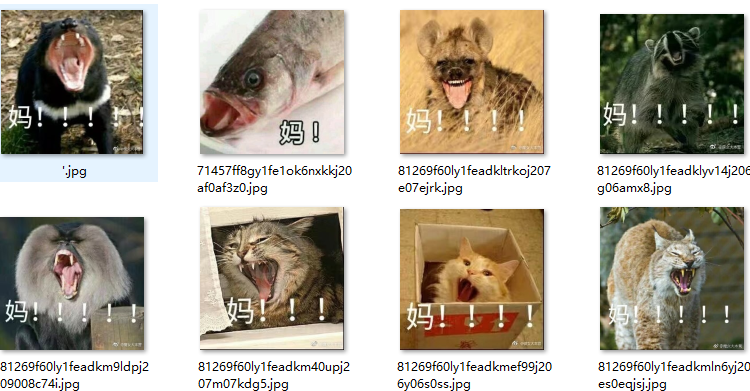 动物喊妈系列QQ表情包界面