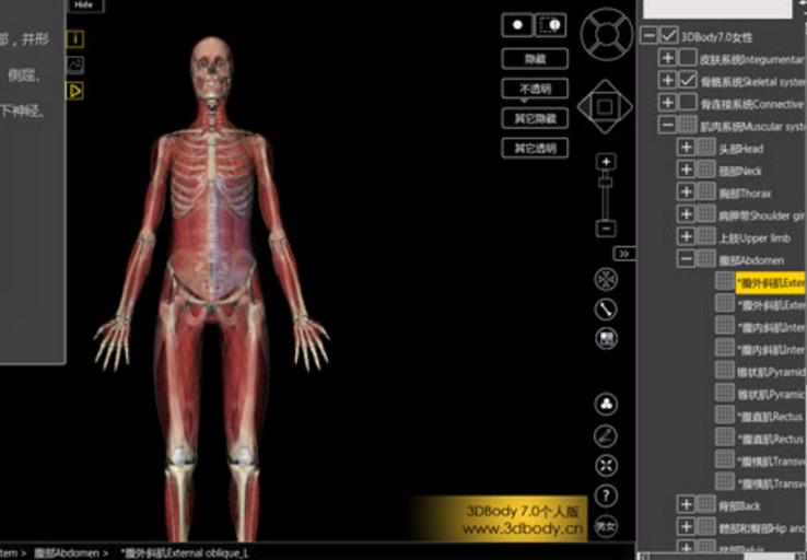 3DBody怎么样