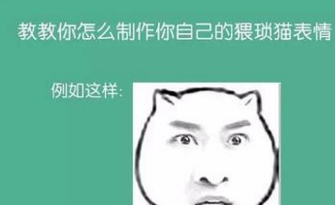 猥琐猫表情制作软件图片