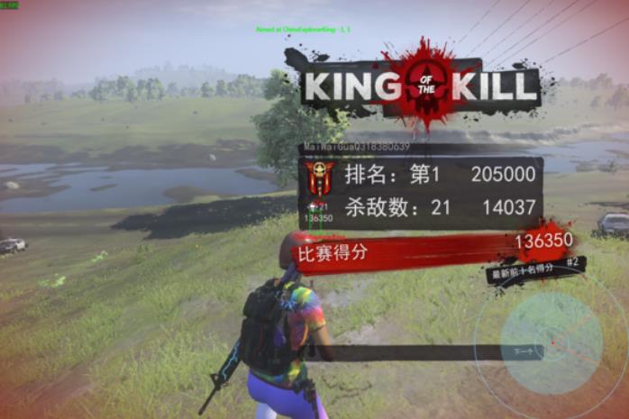 h1z1熊猫辅助