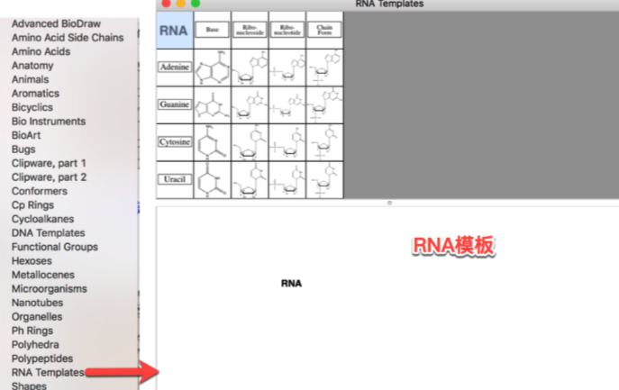 Mac上ChemDraw常用模板RNA模板