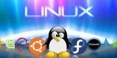Linux系统下载专题