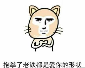 抱拳猫表情包