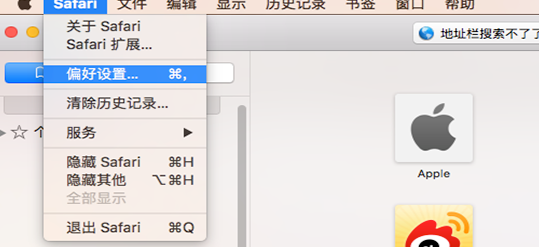 Safari地址栏无法搜索怎么办