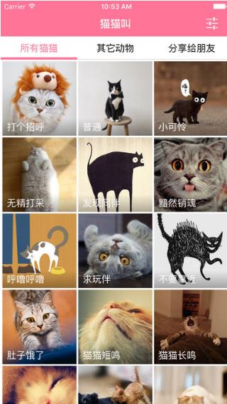 猫叫声模拟器IOS版(养猫必备的逗猫神器) v3.4 苹果最新版