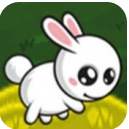 可爱的兔子山跳苹果版(充分的打发时间) v1.2 手机最新版