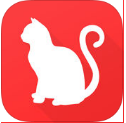 云养猫苹果版(猫咪爱好者) v1.2 最新版