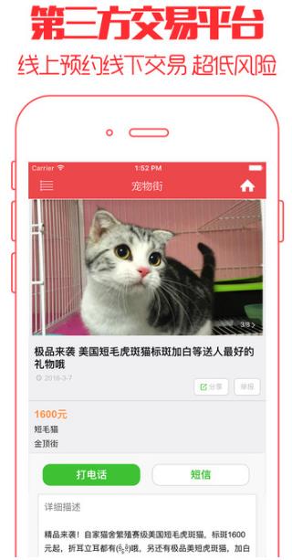 云养猫iPad版(看别人养猫) v1.0 最新版