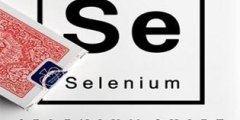 selenium下载大全