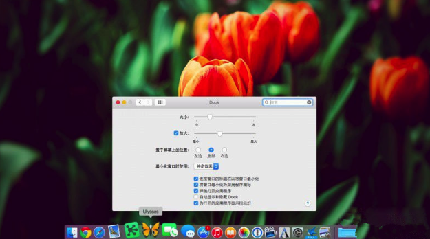 Mac上Dock栏调整大小