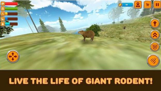 水豚模拟器3D安卓版(别样的丛林动物新生活)  v1.3 手机游戏