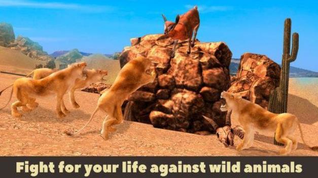 美洲驼野生动物模拟器3D手机版(美妙的动物大冒险) v1.3 安卓版