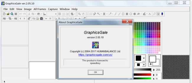 GraphicsGale专业注册版