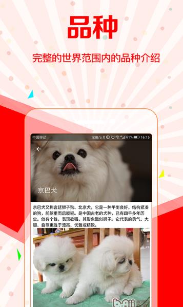 博狗官方安卓手机版(狗狗饲养以及训练知识) v1.3 Android版