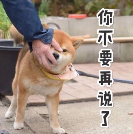日本柴犬QQ表情包