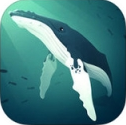 深海水族馆iPad版(获取生命值然后再繁殖) v1.7.2 正式版