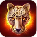猎豹模拟OL苹果版(了解豹子的生存方式) v1.2.4 官方iPhone版