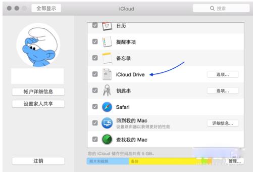 苹果电脑中如何使用iCloud Drive截图